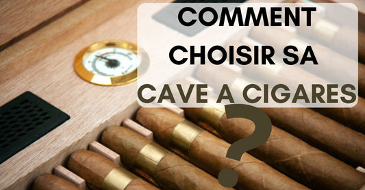 Comment choisir sa Cave à Cigares ?