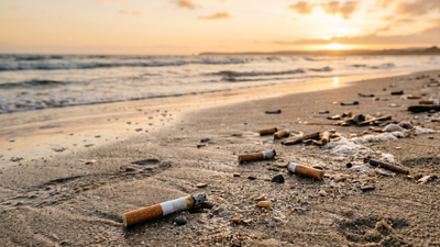 Mégots de cigarettes abandonnés sur une plage de sable fin au coucher du soleil avec l'océan en arrière-plan