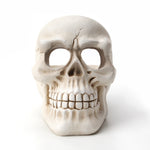Cendrier en forme de Tête de Mort Blanc Face