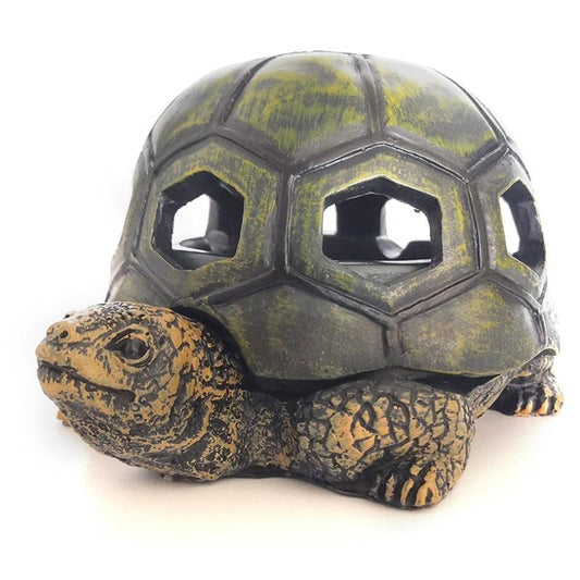 Tortue cendrier résine colorée design nature original - vue de détail